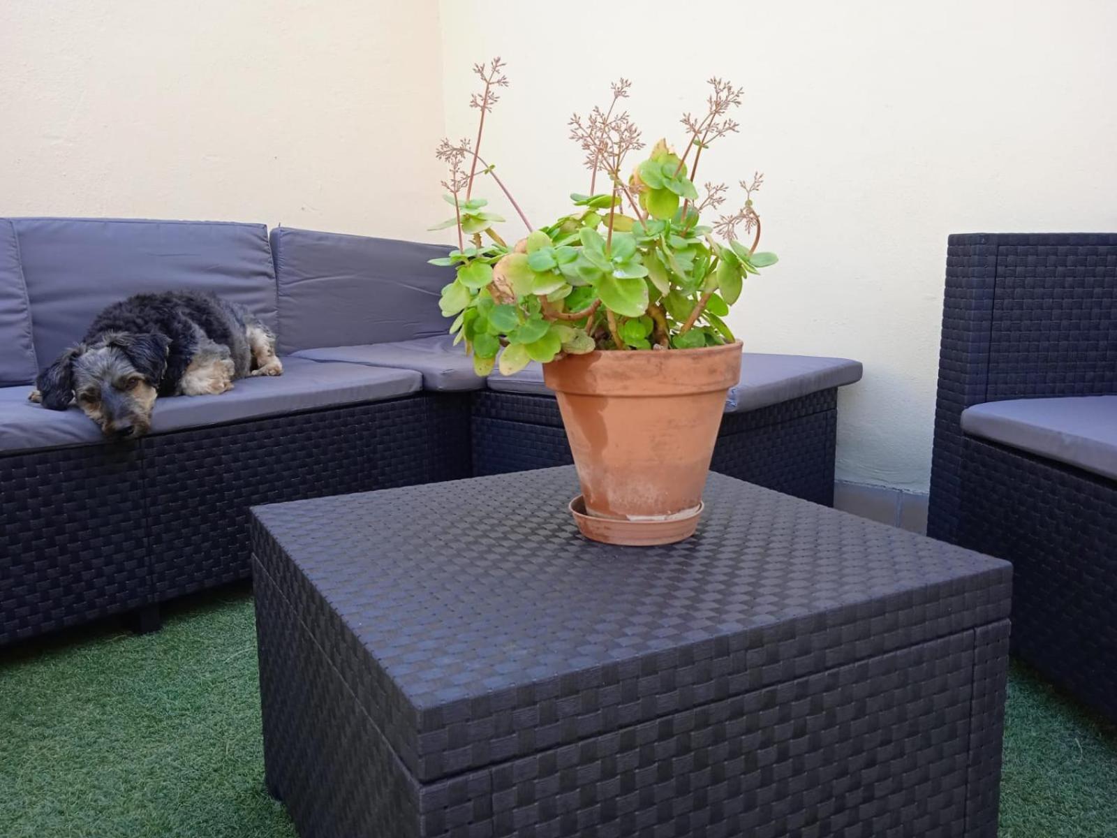Livingtarifa Apartamento Nano Esterno foto