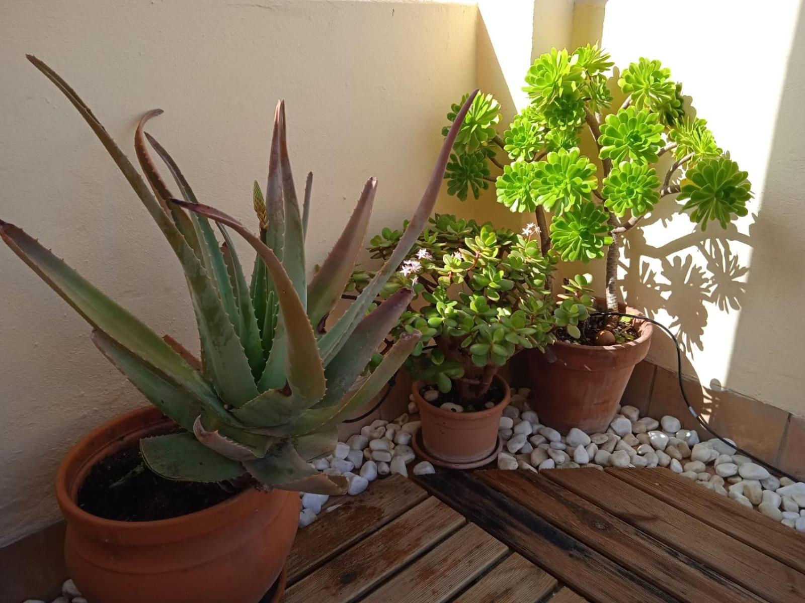 Livingtarifa Apartamento Nano Esterno foto